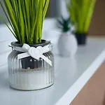 Myflat Dream * Siofok